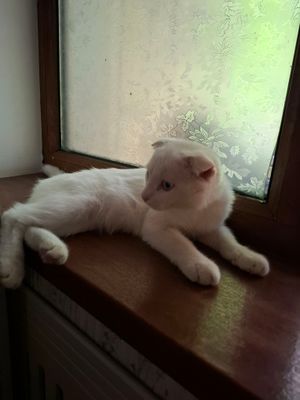 мальчик 5 месяцев.Игривый и здоровый