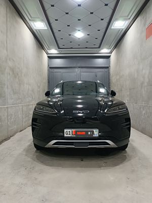 BYD song plus 605: 2024: 17 000 km