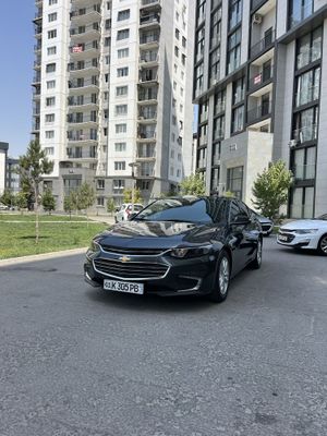 Malibu 24 Atmasferniy