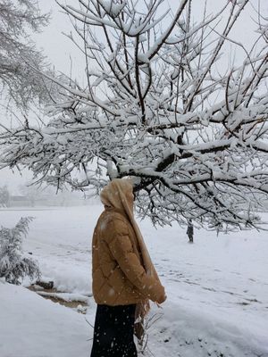 куртка