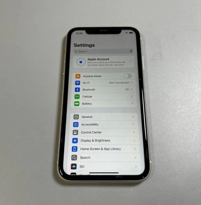 pasida iphone 11