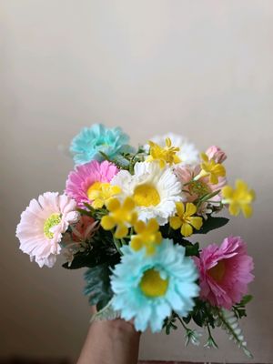 Beauty_Flowers