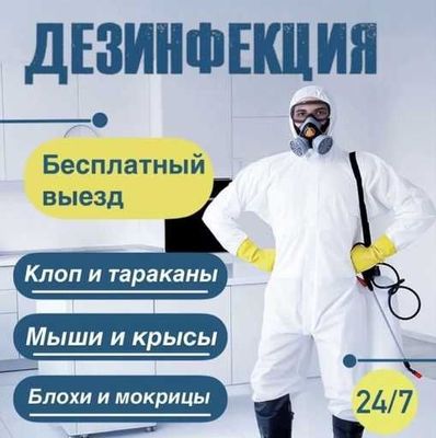 Деинфекция работаем честно обработка от клопов тараканы муравьи блохи