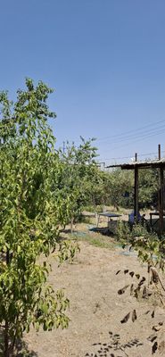 Мирзо Улугбек 5 сотих ховли сотилади без маклер