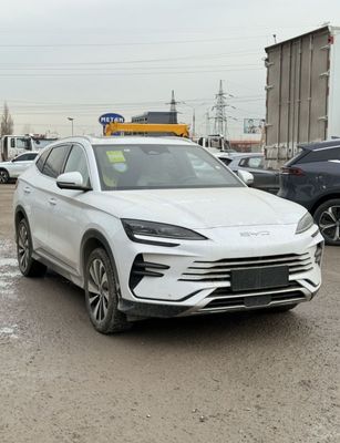 BYD champion сотувда тайор шошилинг