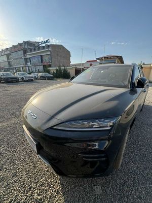 Byd champion sotuvga tayyor