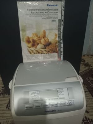 Panasonic