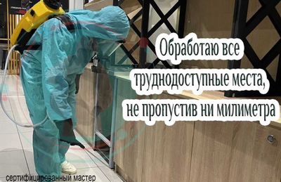 Дезинфекция от клопов уничтожение клопов дезинфекция dezinfeksiya