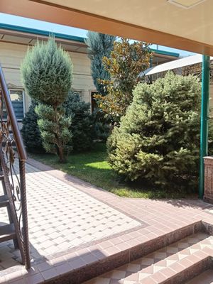 Юнусабад зоопарк таштюриа дом 4 сот 7 комн со всеми условиями