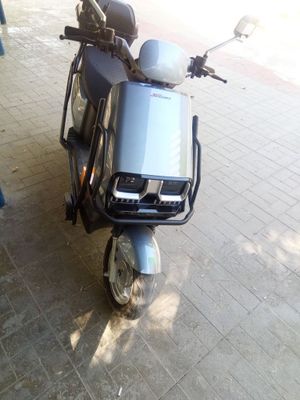 Sukutir sifati alo holi yangi