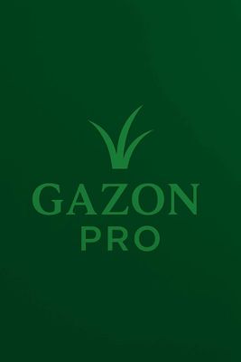 Gazon | Hovlingizni bir kunda yashnatamiz!