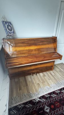 Riga 2 педальная