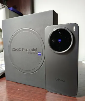 Vivo X200 pro mini 12/512
