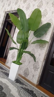 Suniy gul 500.000