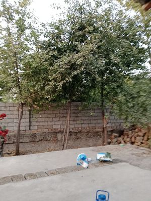 HOVLI 3 sotih 3 hona SOTILADI SVET, SUV, GAZ BOR 35,000 kelishiladi