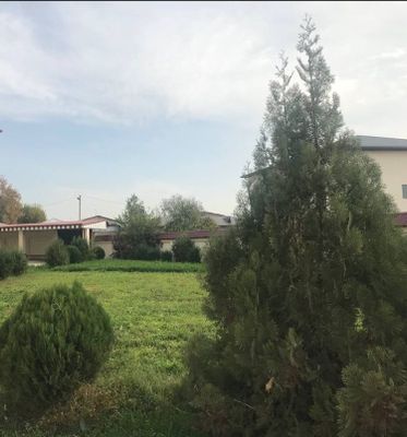 Srochno 30 sotix 2400m2 bino har qanday besnes uchun arendaga beriladi
