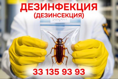 Дезинфекция - Дезинсекция от насекомых. Dezinfektsiya - Dezinsektsiya.