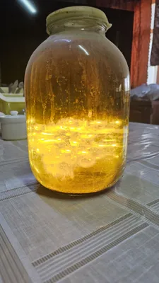 Эликсир здоровья и долголетия