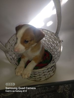 Отдаю добрые ручки малышей