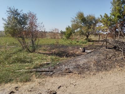 yer maydoni 5 sotix sotiladi.sotixi 3000 y.e
