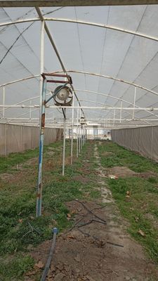 Парник теплица сотилади 40×9 m 1200 $