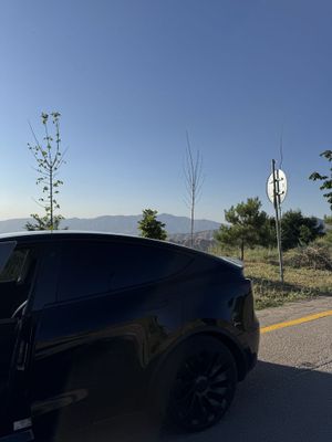 TESLA model Y performance