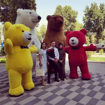 Mishka teddi zakazga ayiqlar Мишка айиклар