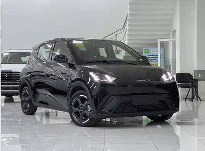 BYD Seagull 2024,2025