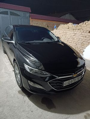 Malibu 2 primer 2022