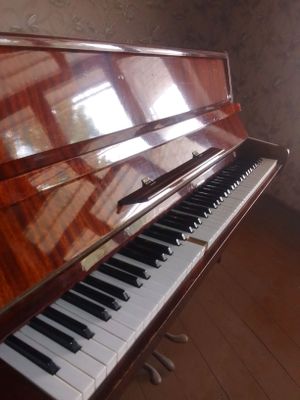 piyanina sotiladi narhi 2 500