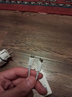 Original Iphone zaryadchek