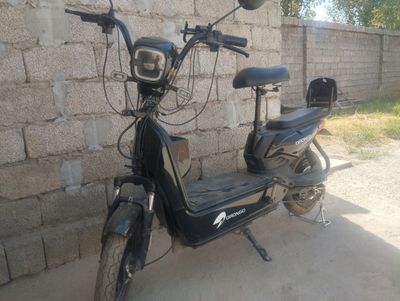 Drongo elektraskutir