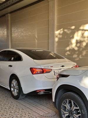Malibu premier oq pudra