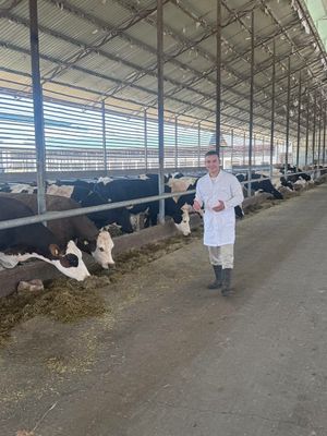 Qishloq xoʻjalik hayvonlariga veterinar hizmati kursatish