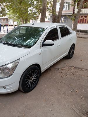 Cobalt 2019 idial xolata
