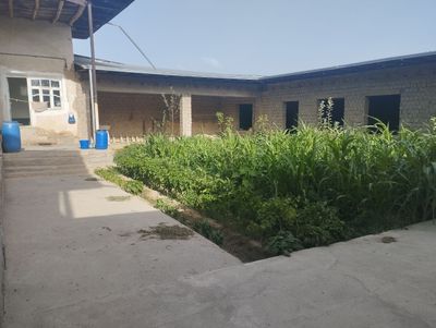 Zangiota tumani bo'yicha e'lon