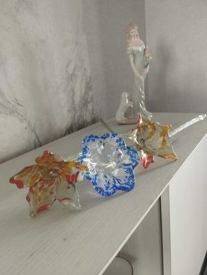 Новые цветы очень красивые
