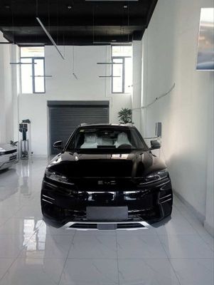 BYD Chempion Xonor