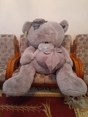 Teddy ayiq