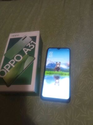 Oppo A31