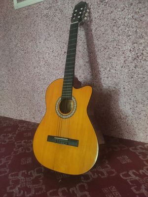 Akustik gitara