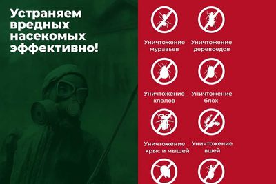 Dezinfeksiya Дезинфекция клопы таракан Обработка деревья Daraxt D-1