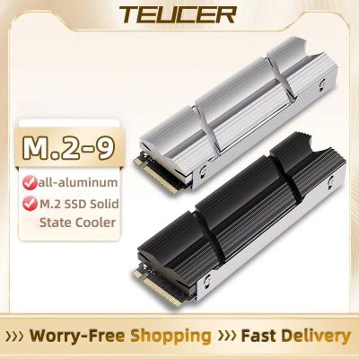 TEUCER M.2-9 NVMe Радиатор охлаждения алюминиевый, для SSD M2. Цвет н