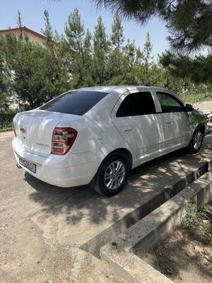 Cobalt.2024oqrang