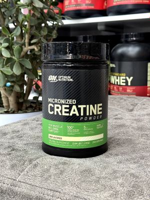 Optimum Nutrition Micronized Creatine Powder 1.2 kg, креатин.