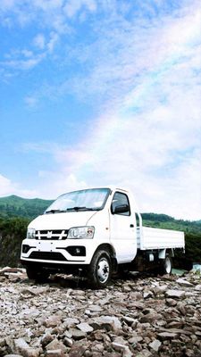 Isuzu Qingling H50