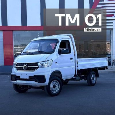 TM Minitruck 1.5 tonn