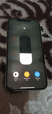 iphone. 12 pro max
