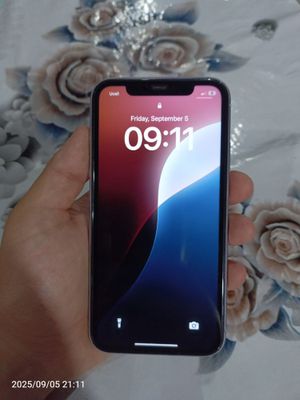 Iphone 11 purple