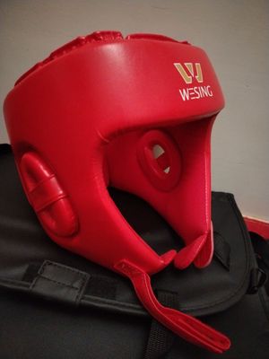 Shlem va protektor
